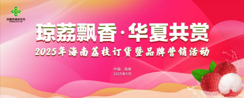 2025年海南荔枝订货暨品牌营销活动圆满落幕：打造“中华热带珍果”新名片